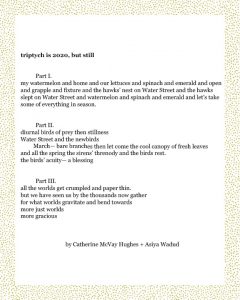 triptych is 2020, but still Part I. my watermelon and home and our lettuces and spinach and emerald and open and grapple and fixture and the hawks’ nest on Water Street and the hawks slept on Water Street and watermelon and spinach and emerald and let’s take some of everything in season. Part II. diurnal birds of prey then stillness Water Street and the newbirds March— bare branches then let come the cool canopy of fresh leaves and all the spring the sirens’ threnody and the birds rest. the birds’ acuity— a blessing Part III. all the worlds get crumpled and paper thin. but we have seen us by the thousands now gather for what worlds gravitate and bend towards more just worlds more gracious Catherine McVay Hughes + Asiya Wadud
