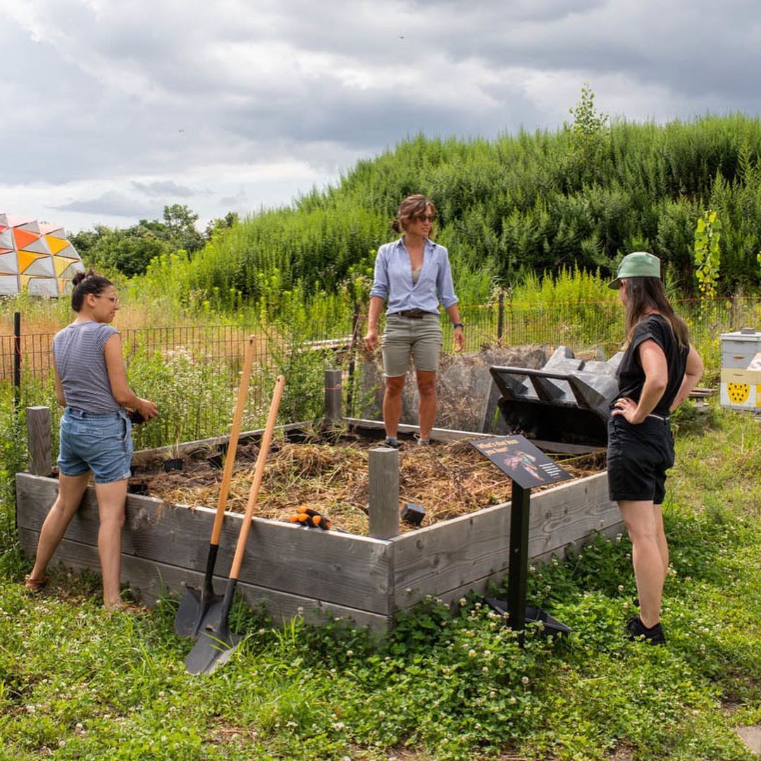  Photo of Meg Webster's Pollinating Garden at GrowNYC Teaching Garden at Governors Island by Gregory Gentert