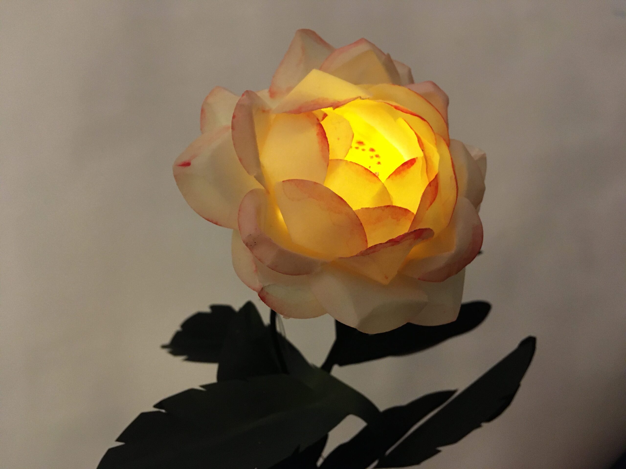 Flower-single1