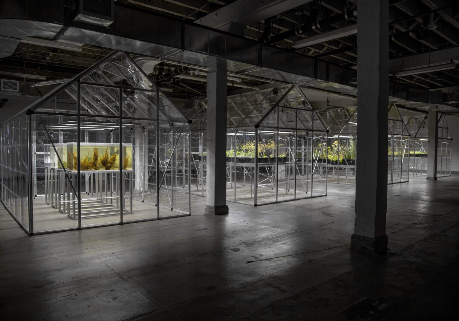 acgi19_ExtinctInNewYork_BrianJGreen_7-scaled-landscape-f725b2503b065960cccefbbe45c6f718-