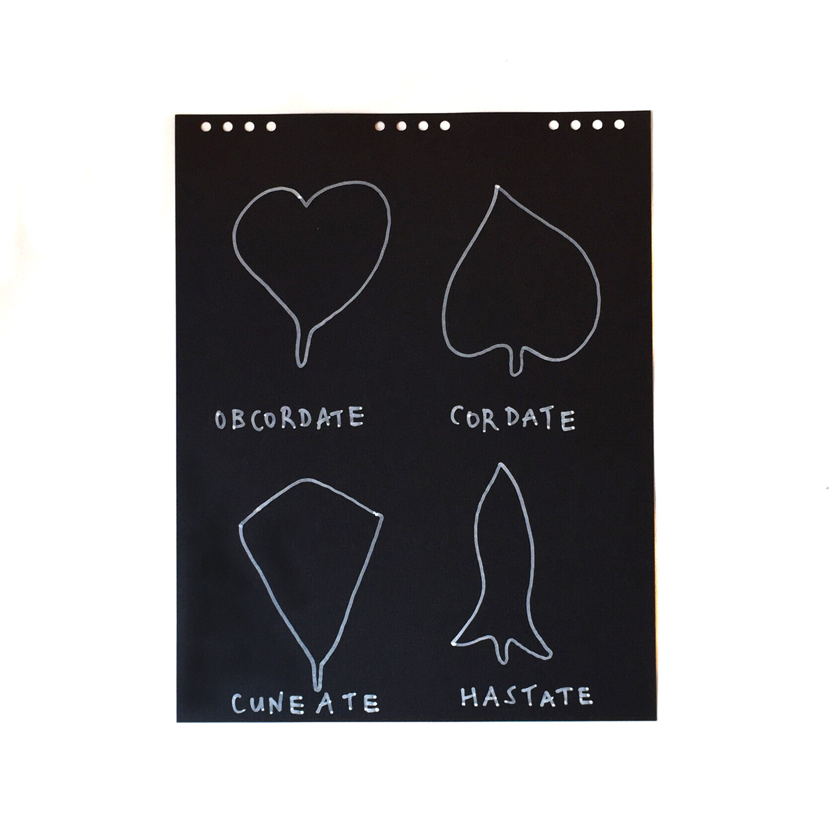 Yto Barrada, Botanical (Leaf-Shapes-Trees) Fig. 1 (of 4), Drawings on paper, 2019.