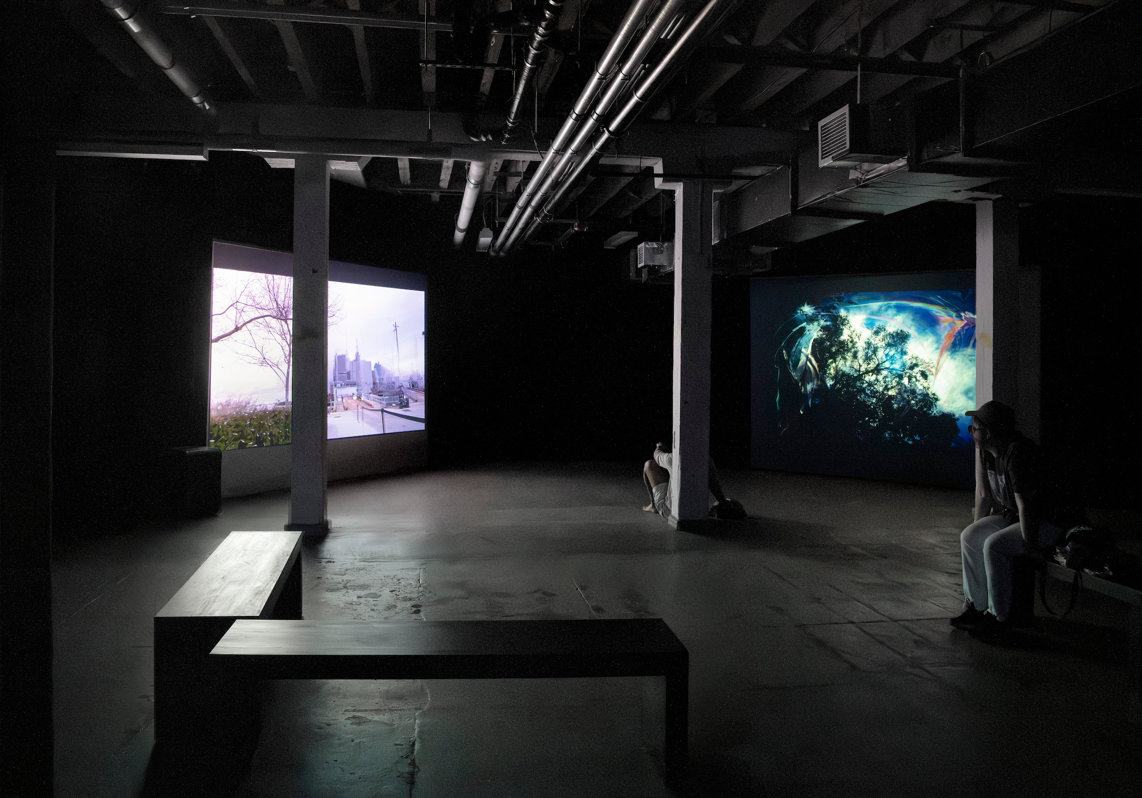 Installation view of  ANTI•VENOM, Photo by Martin Seck
